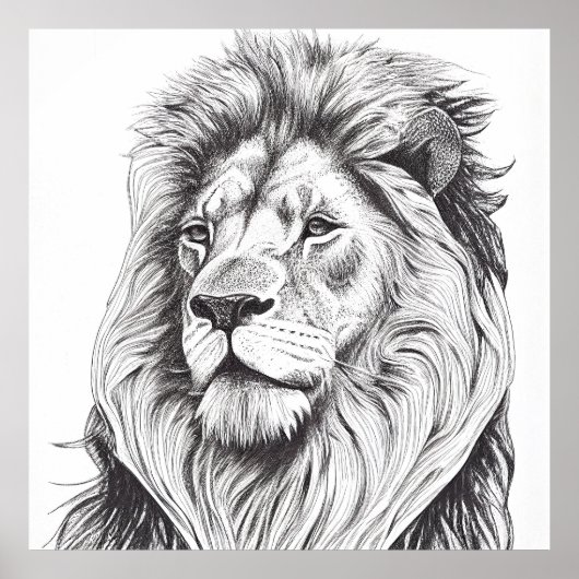 Lion Wild Nature Animal Illustration Zeichnend Kun Poster (Vorne)