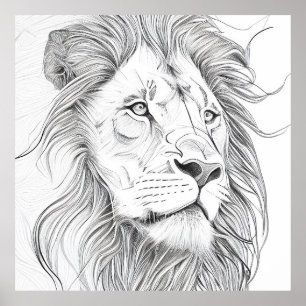 Lion Wild Nature Animal Illustration Zeichnend Kun Poster