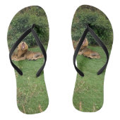 Lion yawn Flip Flops Badesandalen (Fußbett)