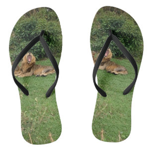 Lion yawn Flip Flops Badesandalen