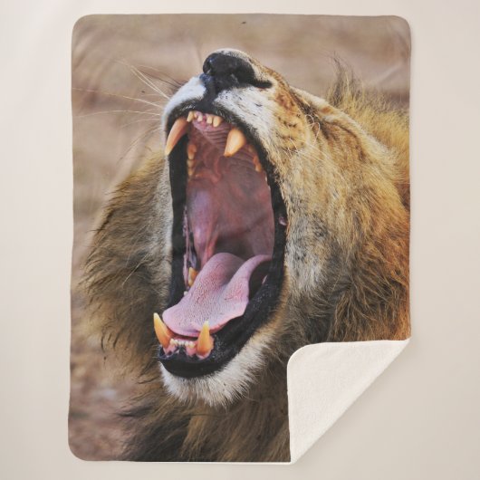 LION YAWN SHERPADECKE (Vorderseite)