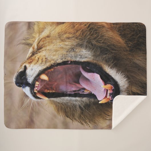 LION YAWN SHERPADECKE (Vorderseite (Horizontal))