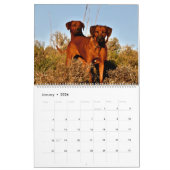 Liondog - Rhodesian Ridgeback Kalender 2018 (Jan 2026)