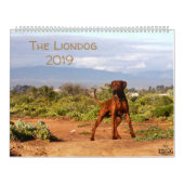 Liondog - Rhodesian Ridgeback Kalender 2019 (Titelbild)