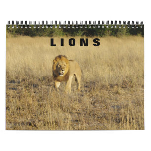 LIONEN - ALLE LIONEN KALENDER