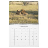 LIONEN - ALLE LIONEN KALENDER (Feb 2026)