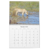 LIONEN - ALLE LIONEN KALENDER (Jan 2026)