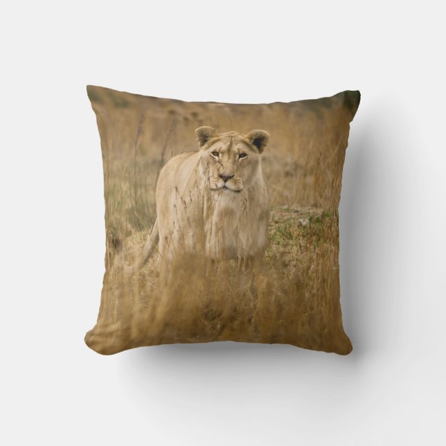 LIONEN IM GRASS KISSEN (Vorderseite)