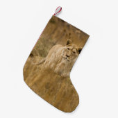 LIONEN IM GRASS KLEINER WEIHNACHTSSTRUMPF (Vorderansicht (hängend))