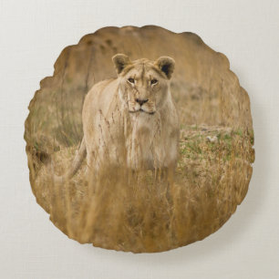LIONEN IM GRASS RUNDES KISSEN