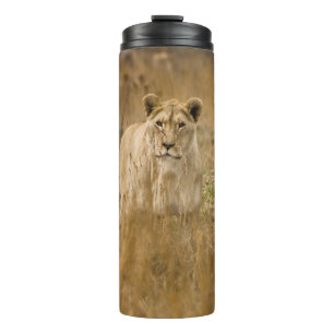 LIONEN IM GRASS THERMOSBECHER