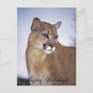 Lioness2, Happy Holidays Feiertagspostkarte