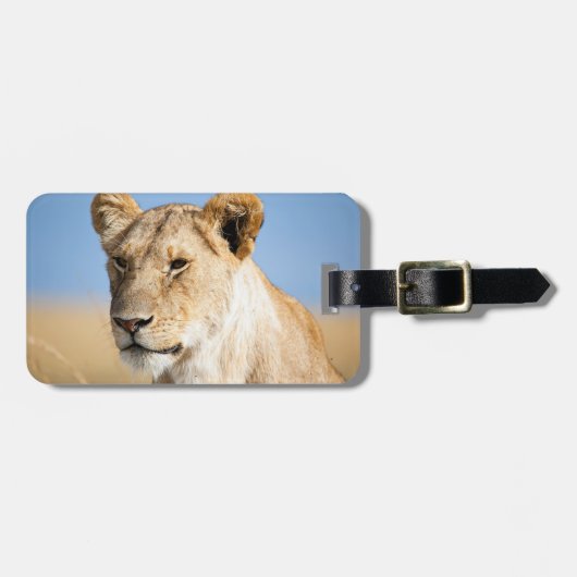 Lioness Against Blue Gepäckanhänger (Vorderseite horizontal)