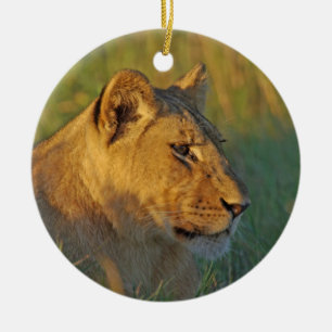 Lioness am Nachmittag Lichtschmuck Keramik Ornament