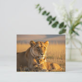 Lioness and cub in Serengeti Tansania Postkarte (Stehend Vorderseite)