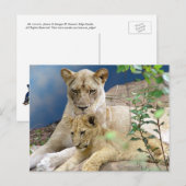 Lioness and Cube Postcard Postkarte (Vorne/Hinten)