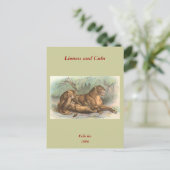 Lioness and Cubs, Felis leo Postkarte (Stehend Vorderseite)