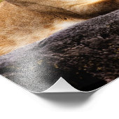 Lioness auf den Felsen Fotodruck (Ecke)