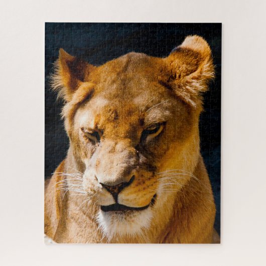 Lioness Big Cats. Puzzle (Vertikal)