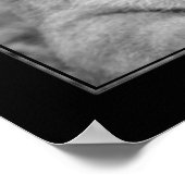 Lioness (BW-Version) Poster (Ecke)