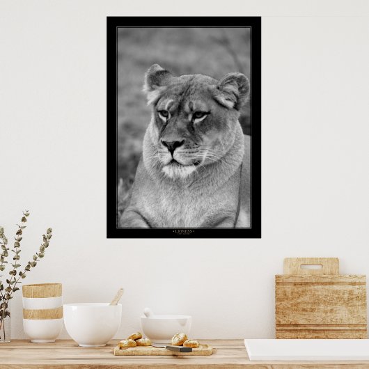 Lioness (BW-Version) Poster (Küche)