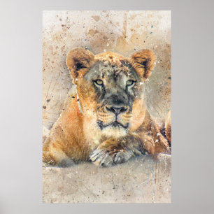 Lioness Face Watercolor Jungtier Poster