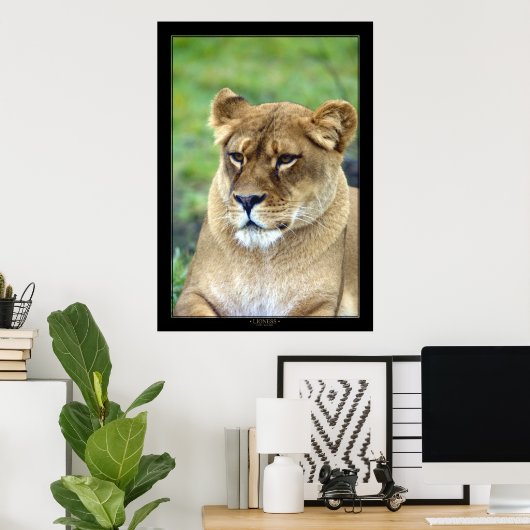 Lioness (Farbversion) Poster (Heimbüro)