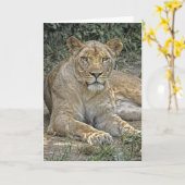Lioness Grußkarte Karte (Gelbe Blume)