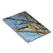 Lioness in einem Baum Notizblock (Rechte Seite)