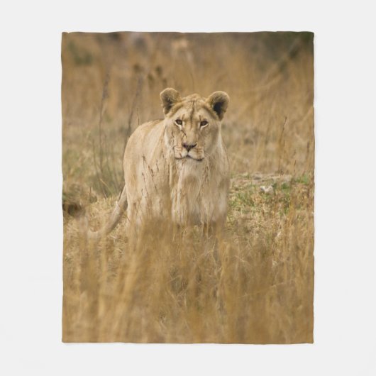 LIONESS IN THE GRASS FLEECEDECKE (Vorderseite)