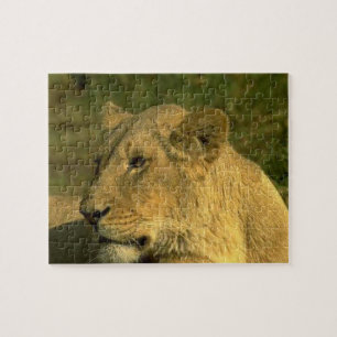 Lioness-Königin des Dschungels Puzzle