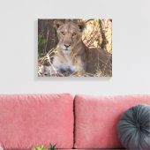 Lioness-Leinwand Leinwanddruck (Insitu (Wohnzimmer))