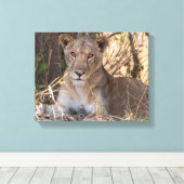 Lioness-Leinwand Leinwanddruck (Insitu (Holzboden))