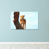 Lioness Leinwanddruck (Insitu (Holzboden))