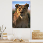 Lioness Lion Lovers Poster (Küche)