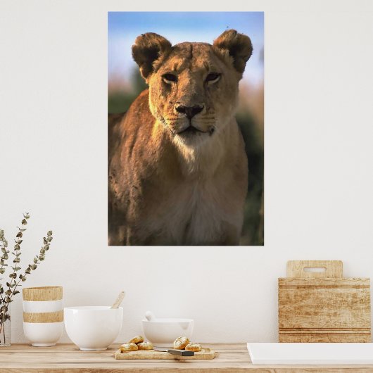 Lioness Lion Lovers Poster (Küche)