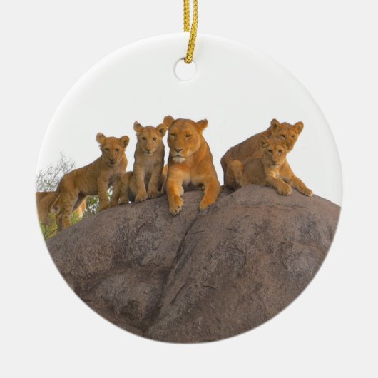 Lioness mit Cubs, die Serengeti. Keramik Ornament (Vorne)