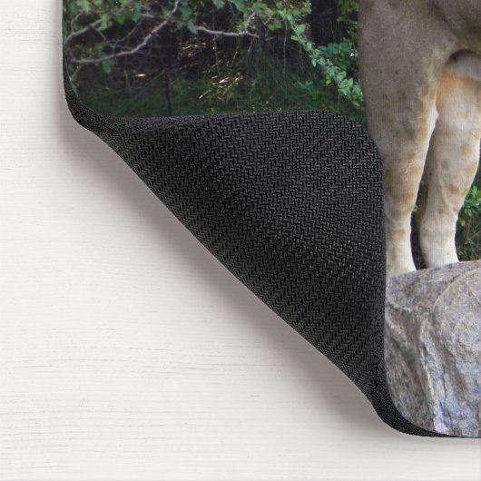 Lioness Mousepad (Ecke)