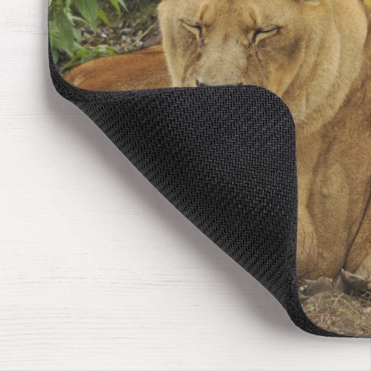 Lioness  mousepad (Ecke)