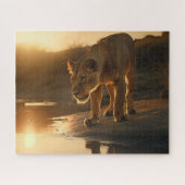 Lioness nimmt eine Pause im Sunset Jigsaw Puzzle e (Horizontal)