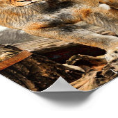 Lioness-Portrait Poster (Ecke)