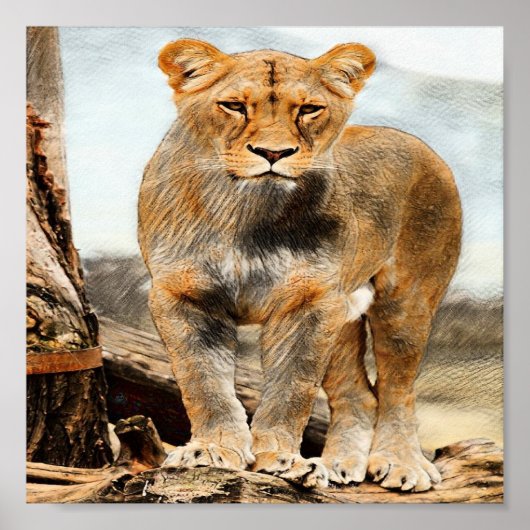 Lioness-Portrait Poster (Vorne)