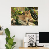 Lioness Poster (Heimbüro)