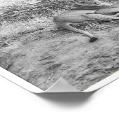 Lioness Poster (Ecke)