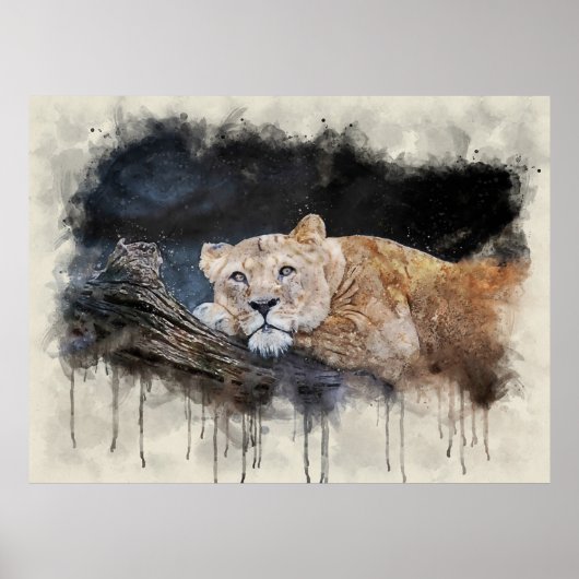 Lioness Poster (Vorne)