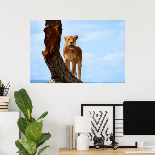 Lioness Poster (Heimbüro)
