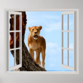 Lioness Poster (Vorne)