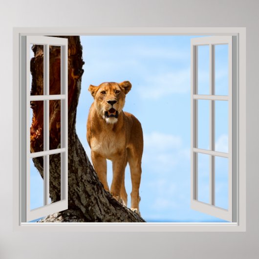 Lioness Poster (Vorne)