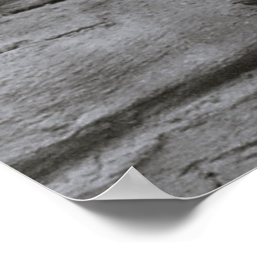 Lioness Poster (Ecke)