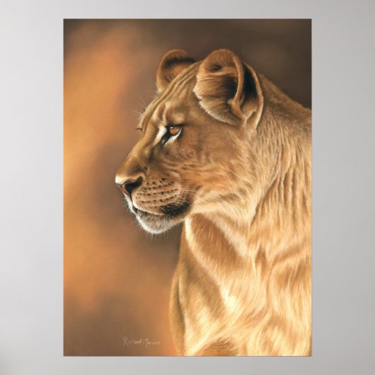 Lioness Poster (Vorne)